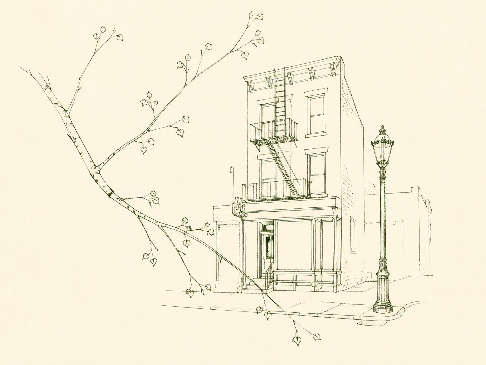 A line drawing of a Bowery storefront with a birch branch